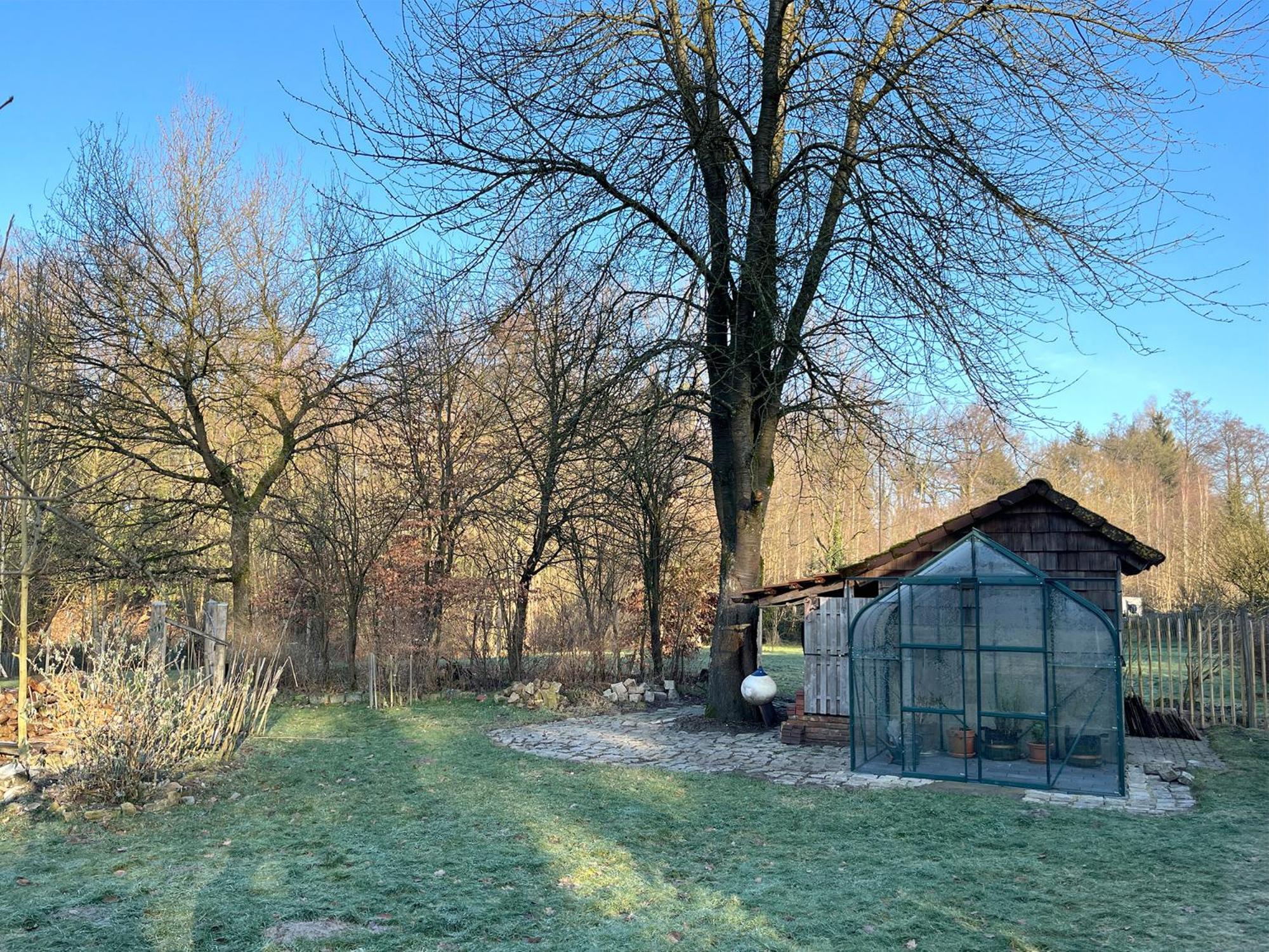 Ferienwohnung Gruen In Gruen Detmold Exterior foto